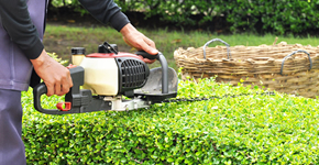 Garden Maintenance Southend, Essex Garden Maintenance Southend, Essex